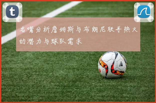 名嘴分析詹姆斯与布朗尼联手热火的潜力与球队需求
